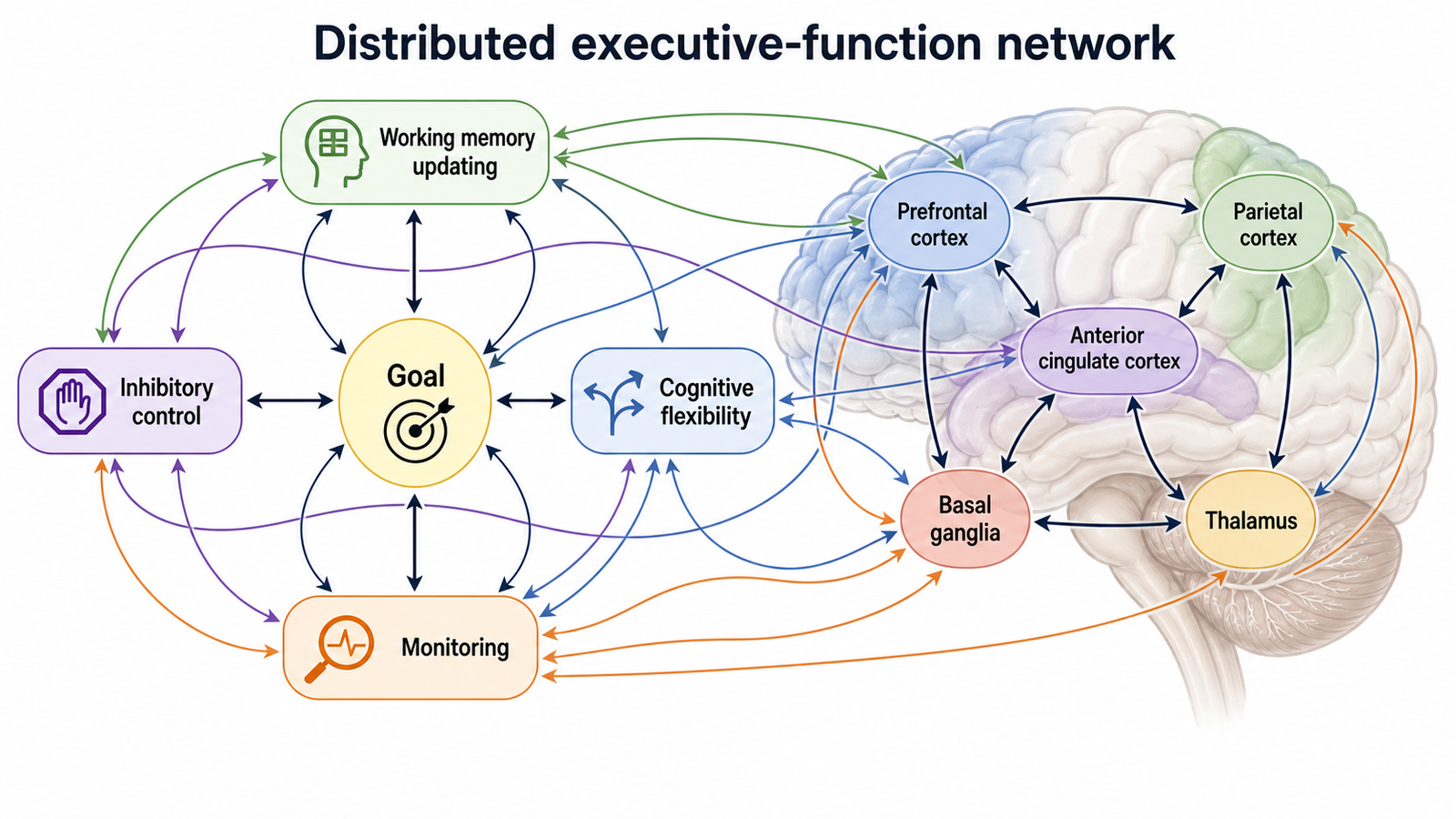 What Is Executive Function?